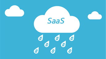 網(wǎng)絡游戲軟件技術研發(fā)的現(xiàn)狀與轉型 從傳統(tǒng)ERP到ServiceHot SaaS的演進